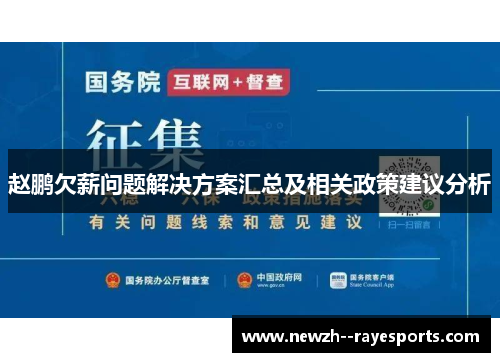 赵鹏欠薪问题解决方案汇总及相关政策建议分析