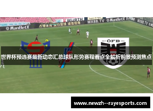 世界杯预选赛最新动态汇总球队形势赛程看点全解析前景预测焦点