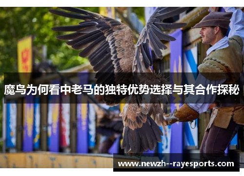 魔鸟为何看中老马的独特优势选择与其合作探秘 魔鸟为何看中老马的独特优势选择与其合作探秘